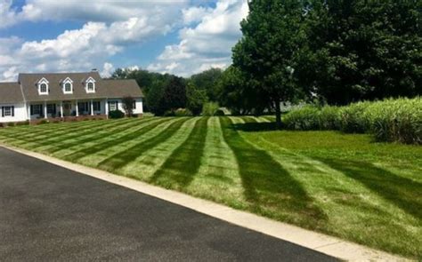 The essential lawn care tasks provided by Jewel Spell in Holtsville